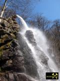 Der Trusetaler Wasserfall bei Trusetal im Thüringer Wald, (D) (8) 15. April 2015.JPG